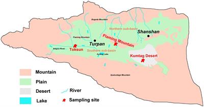 Prokaryotic taxonomy and functional diversity assessment of different sequencing platform in a hyper-arid Gobi soil in Xinjiang Turpan Basin, China